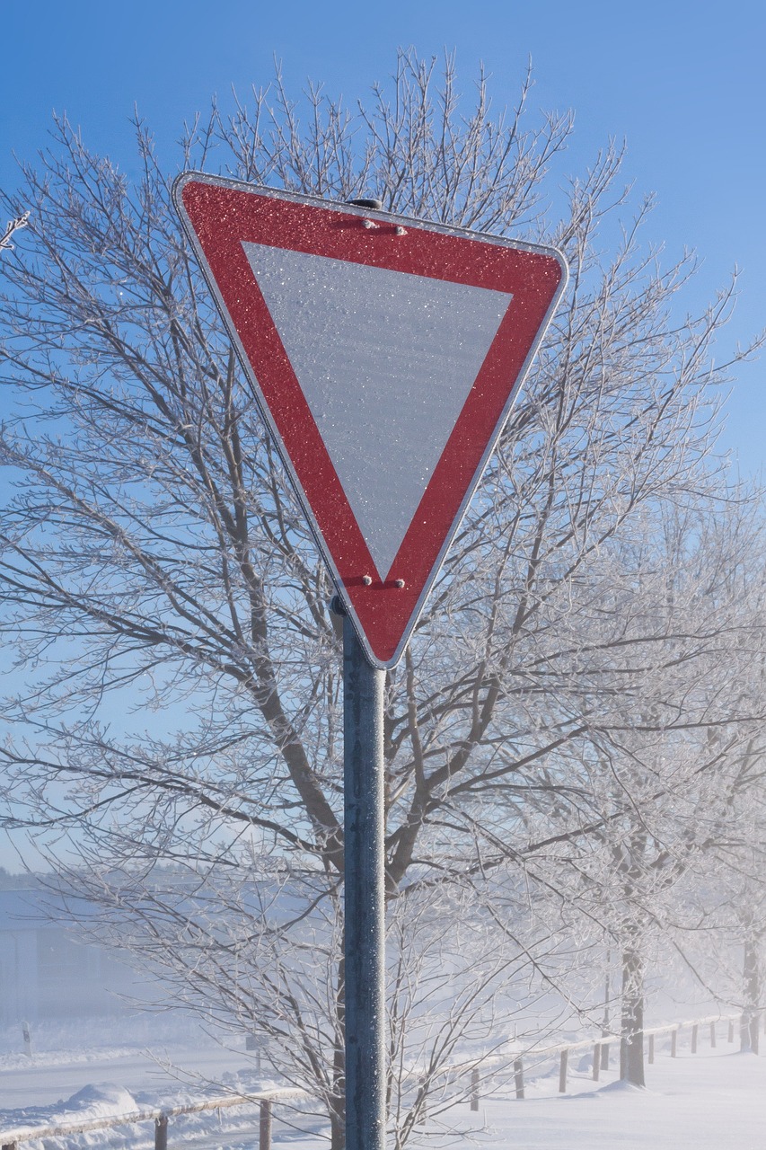 Kelio Zenklas, Žiema, Auskaras, Rūkas, Sniegas, Įspėjimas, Personažai, Kelio Ženklas, Šaltas, Skydas