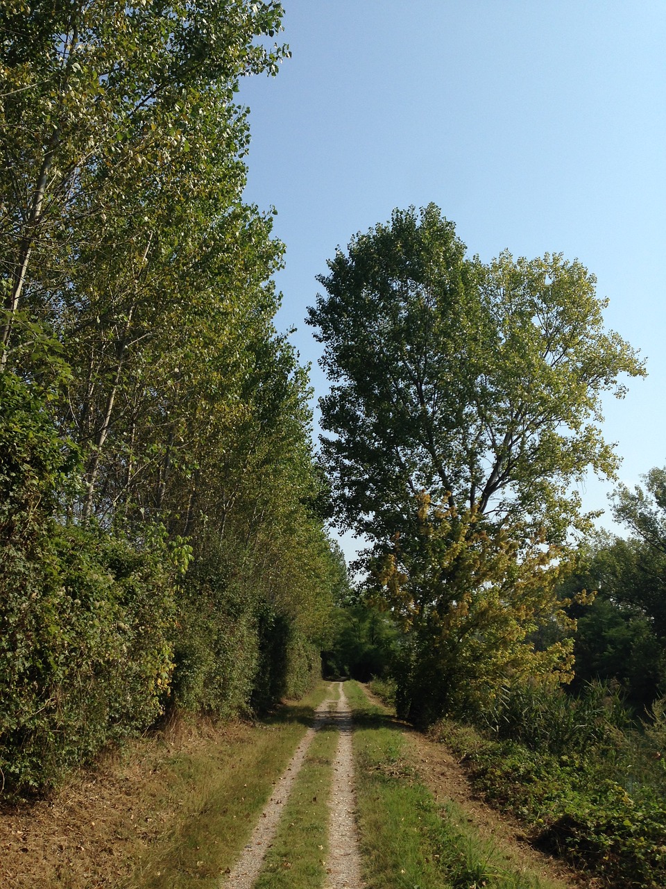 Takas, Gamta, Vaikščioti, Ramybė, Žalias, Laisvalaikis, Atsipalaidavimas, Kraštovaizdis, Medžiai, Italy