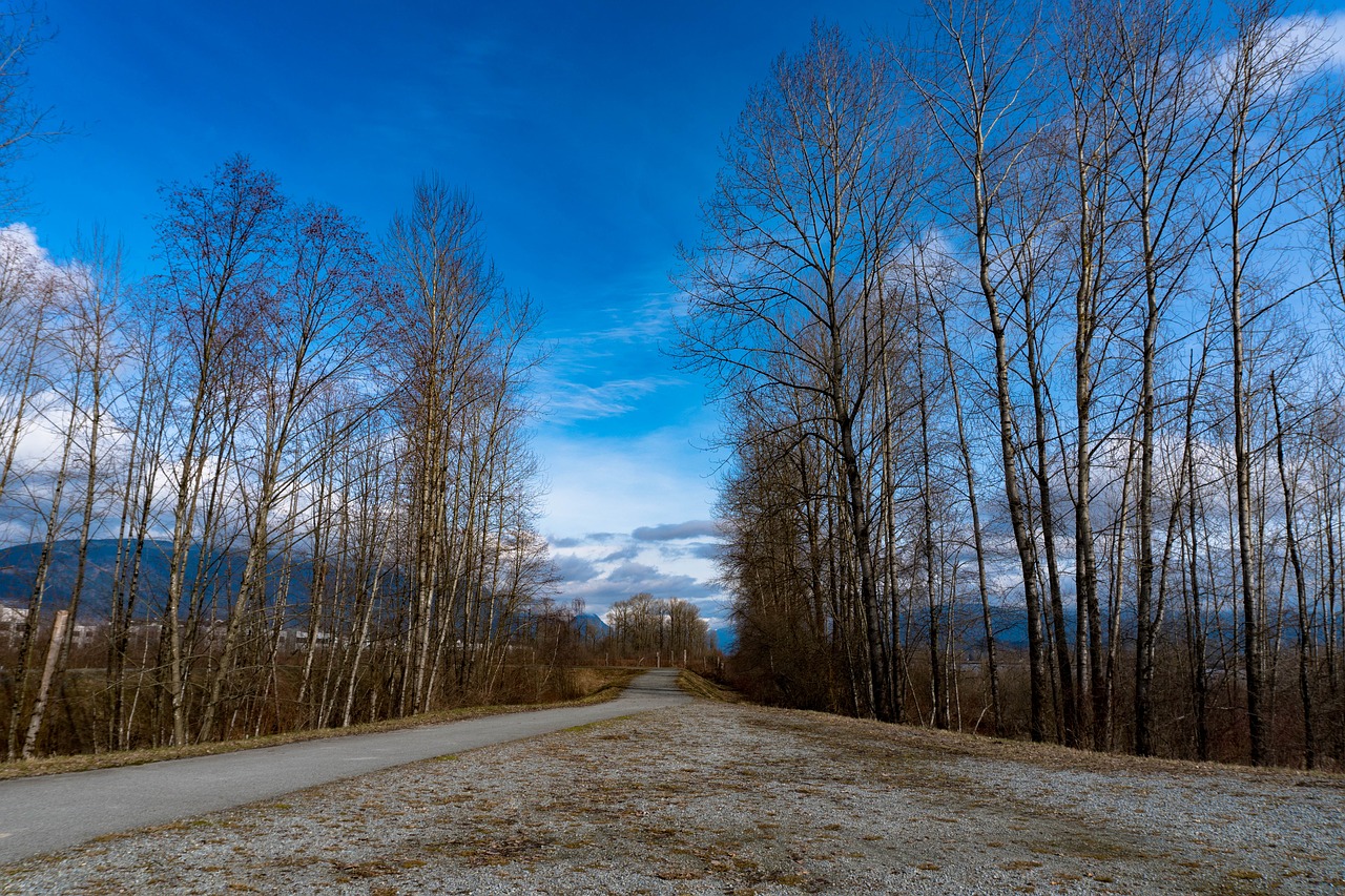 Takas, Uosto Koquitlam, Britų Kolumbija, Kanada, Traboulay Poco Takas, Poco, Traboulay, Upelis, Poilsis, Fraser