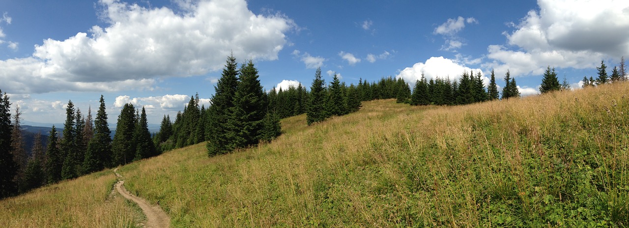 Takas, Kraštovaizdis, Medis, Gamta, Tatry, Lenkija, Turizmas, Pėsčiųjų Takai, Nemokamos Nuotraukos,  Nemokama Licenzija