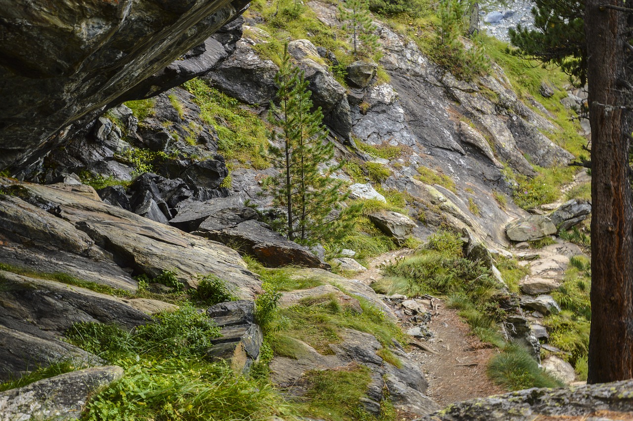 Takas, Žygiai, Swiss Alps, Keliautojas, Kalnai, Toli, Gamta, Kraštovaizdis, Žygis, Medžiai