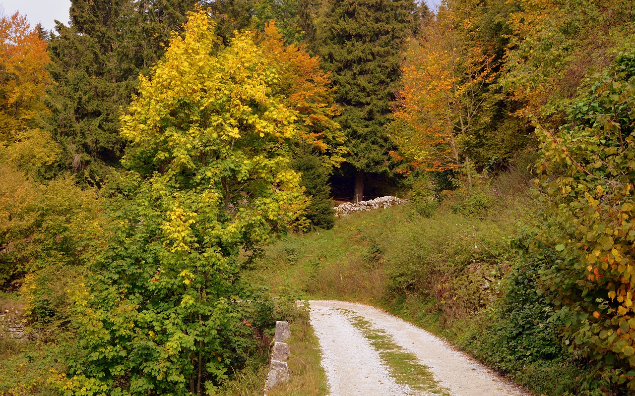 Takas, Miškas, Ruduo, Europinis Kelias, E5, Lessinia, Italy, Kalnai, Ekskursija, Augalai