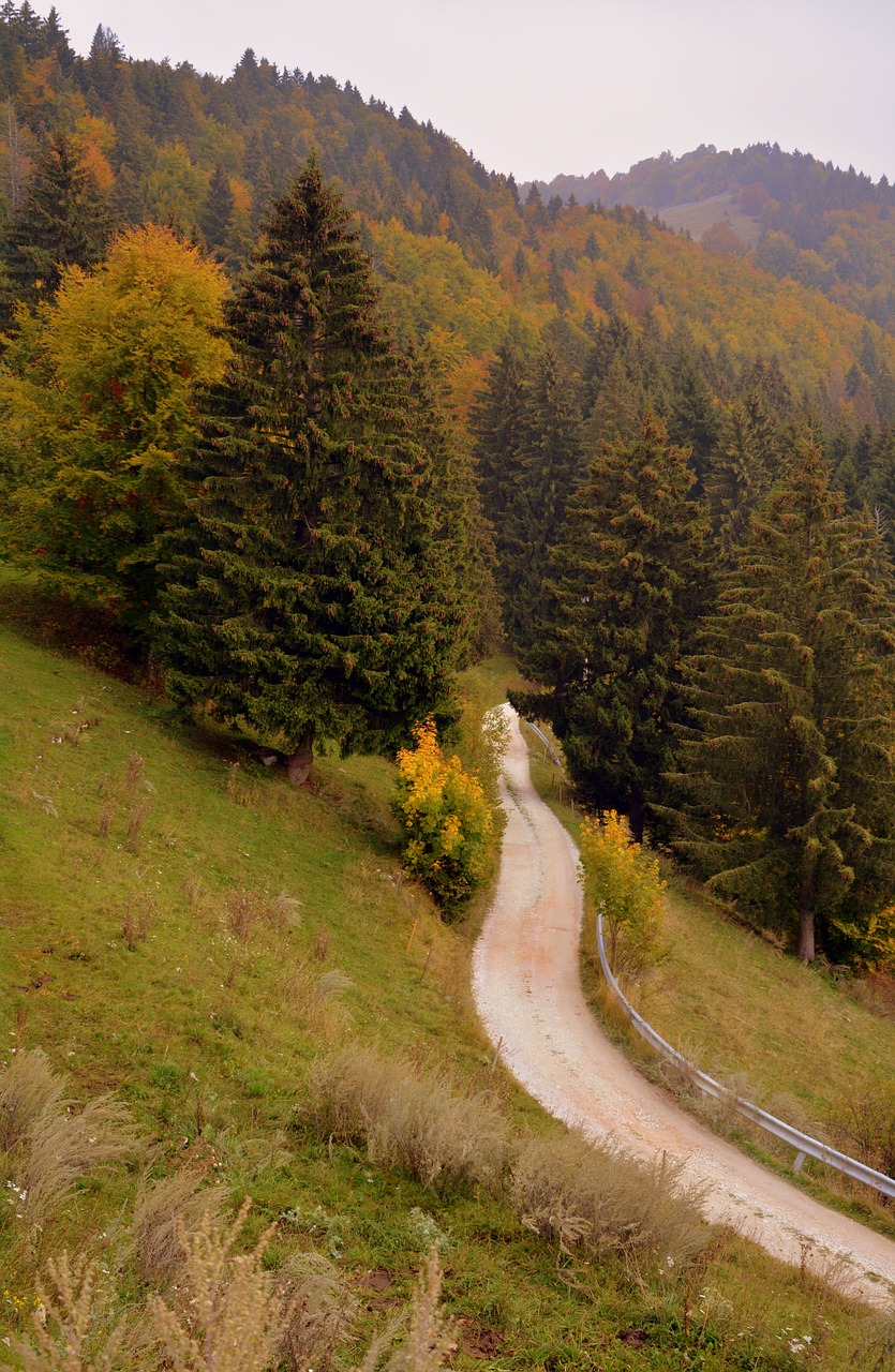 Takas, Miškas, Ruduo, Europinis Kelias, E5, Lessinia, Italy, Kalnai, Ekskursija, Augalai