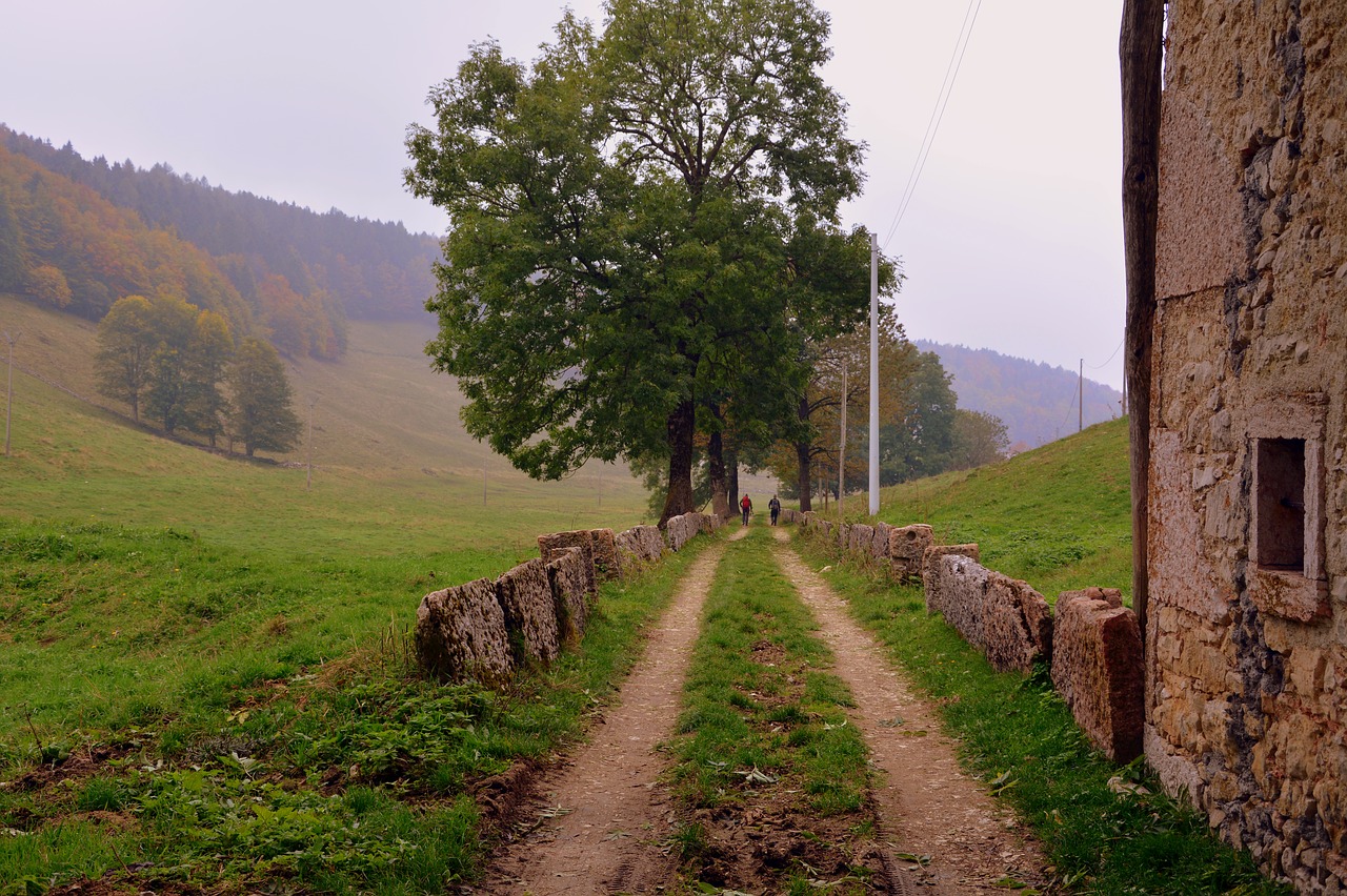 Takas, Per, Medžiai, Kalnas, Kelias, Europinis Kelias, E5, Lessinia, Italy, Nemokamos Nuotraukos