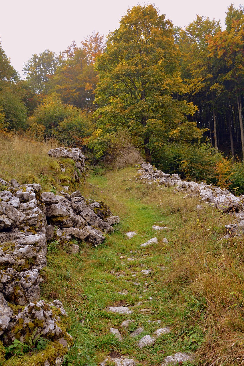 Takas, Akmenys, Žolė, Sassi, Miškas, Ruduo, Europinis Kelias, E5, Lessinia, Italy