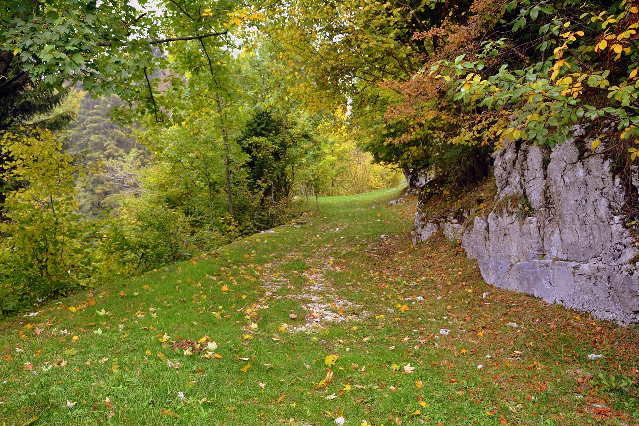 Takas, Žolė, Medžiai, Ekskursija, Ruduo, Europinis Kelias, E5, Lessinia, Italy, Nemokamos Nuotraukos