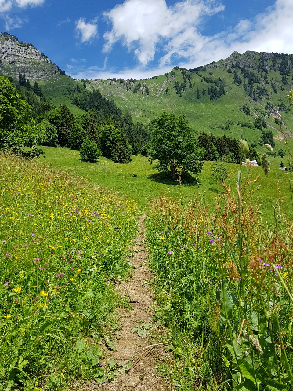 Takas,  Kalnų,  Pobūdį,  Kelias,  Žygiai,  Žygis,  Dangus,  Kraštovaizdis, Nemokamos Nuotraukos,  Nemokama Licenzija