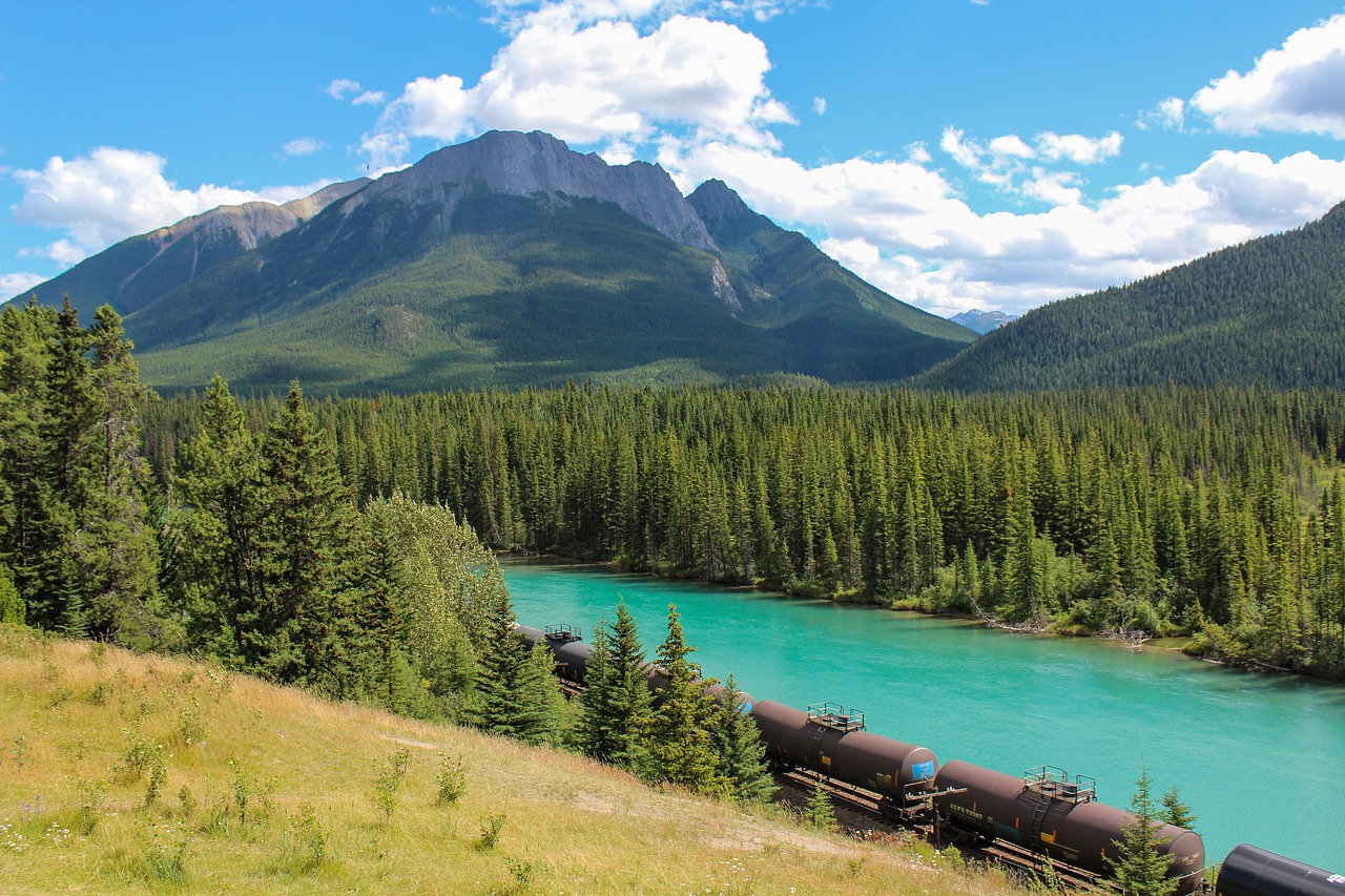 Traukinys, Kroviniai, Lankas Upė, Banff, Alberta, Kanada, Miškas, Kalnas, Gabenimas, Geležinkelis