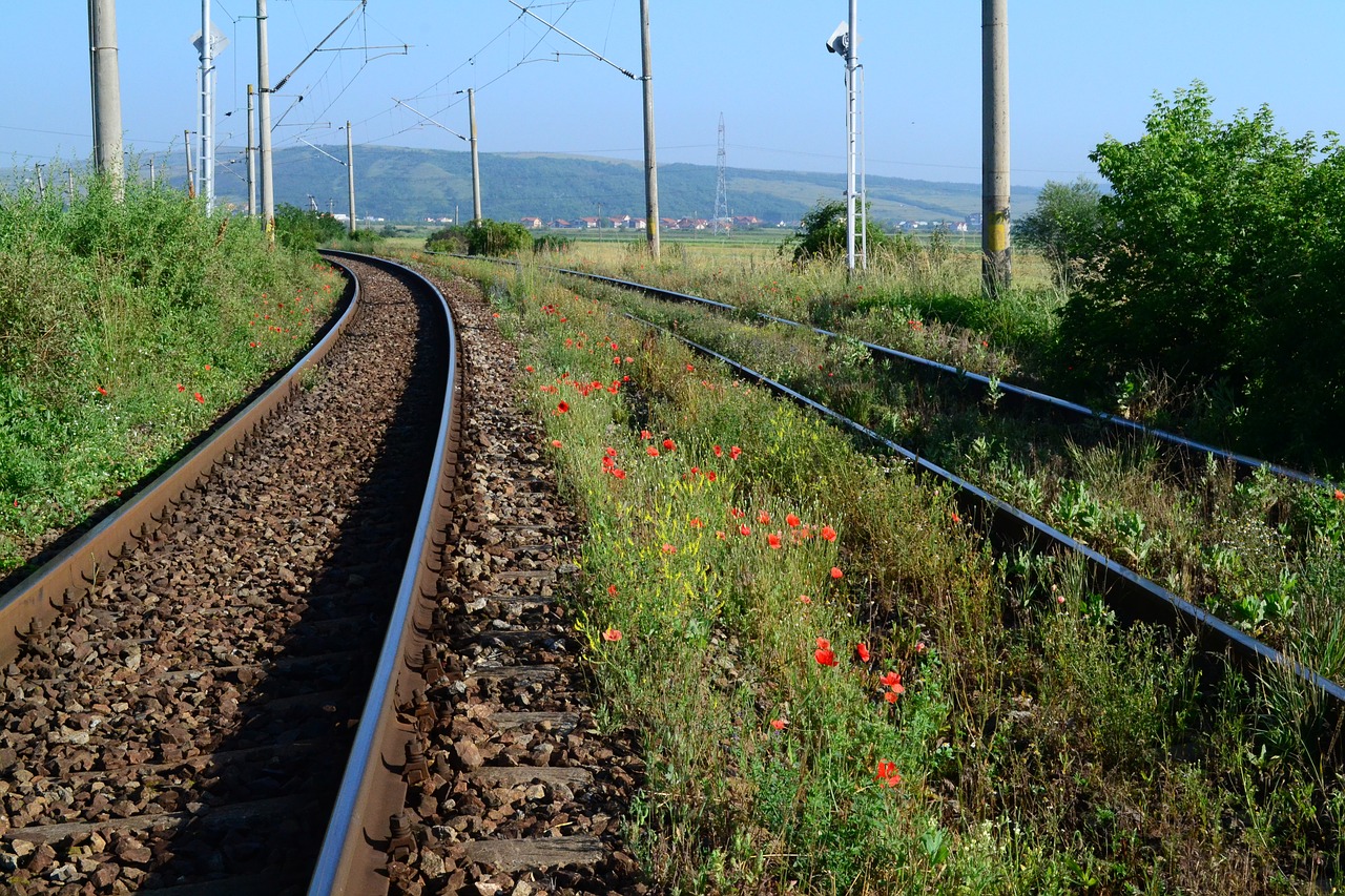 Traukinys, Aguona, Gėlė, Žolė, Gamta, Geležinkelis, Geležinkelis, Geležinkelis, Nemokamos Nuotraukos,  Nemokama Licenzija