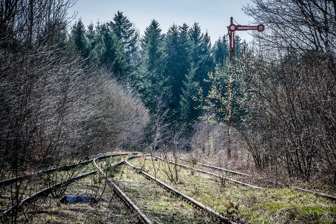 Traukinys, Traukinių Stotis, Geležinkelių Transportas, Geležinkelis, Geležinkelio Bėgiai, Naudojama Geležinkelio Linija, Laivyba Prarasta, Minkštas, Signalas, Nemokamos Nuotraukos