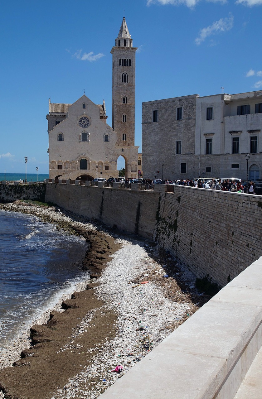 Trani,  Apulia,  Italy,  Puglia,  Italia,  Katedra,  Architektūra,  Monolitinė Vandens Dalis,  Kelionė,  Niekas