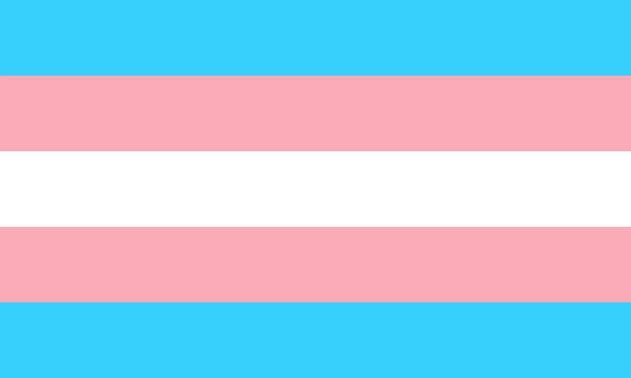 Trans, Transseksualai, Vėliava, Pasididžiavimas, Nemokamos Nuotraukos,  Nemokama Licenzija