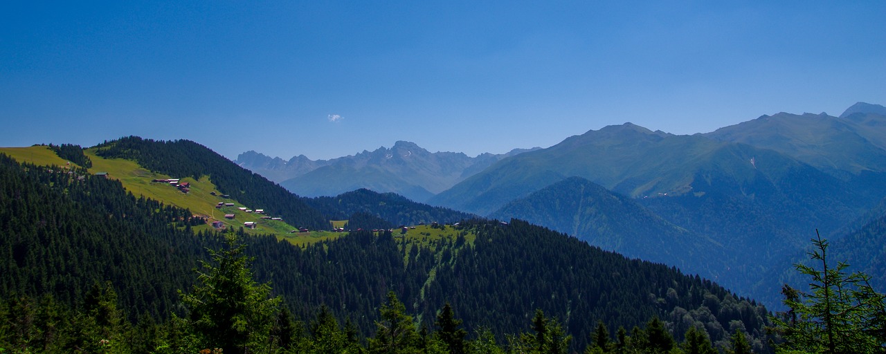 Pervedimas, Tue, Highland, Miškas, Pušis, Medžiai, Mėlynas, Gamta, Rize, Kraštovaizdis-Asilas