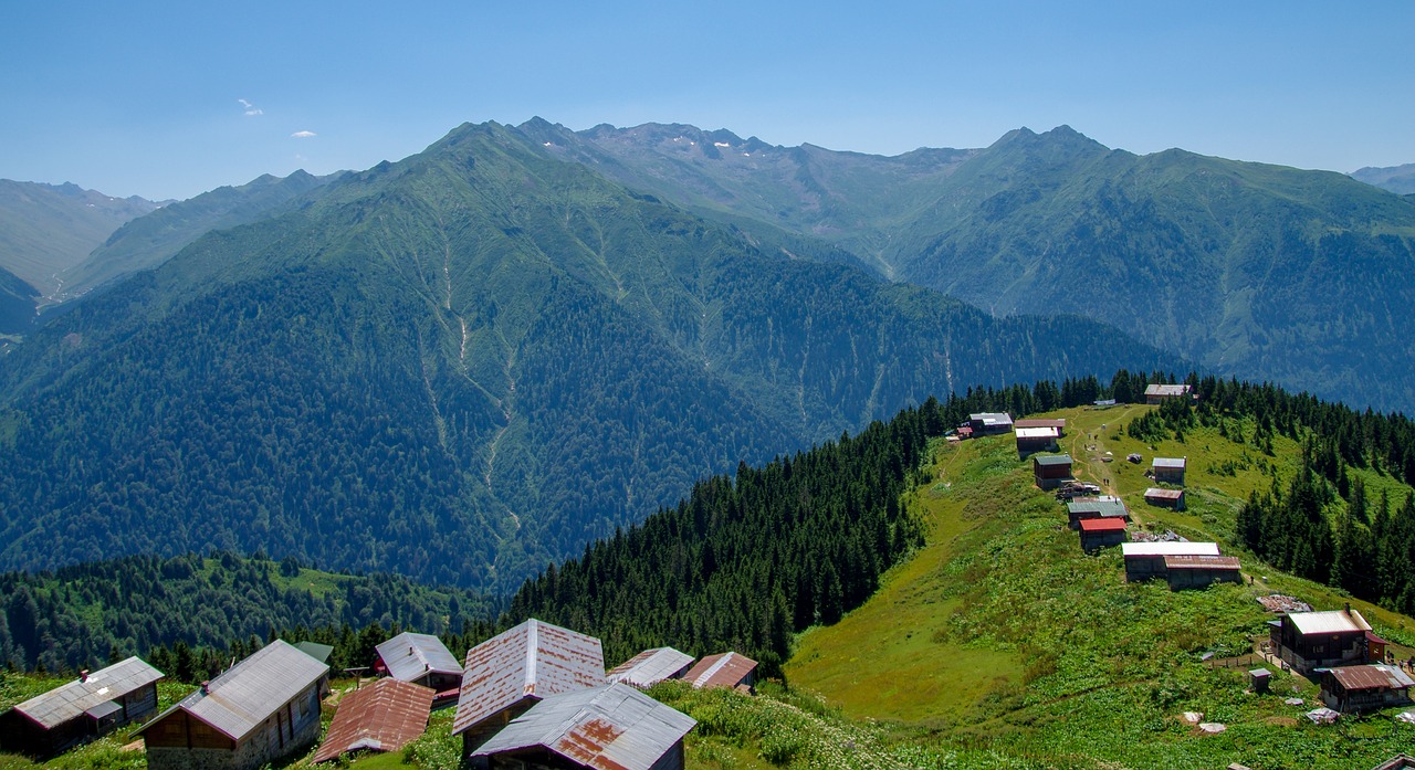 Pervedimas, Tue, Highland, Miškas, Pušis, Medžiai, Mėlynas, Gamta, Rize, Kraštovaizdis-Asilas