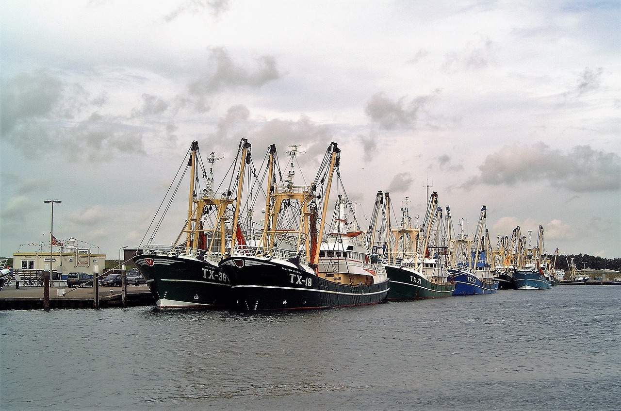 Transportas, Žuvininkystė, Žvejybos Laivai, Laivynas, Uostas, Darbas, Žuvis, Šviežias, Aukcione, Nyderlandai