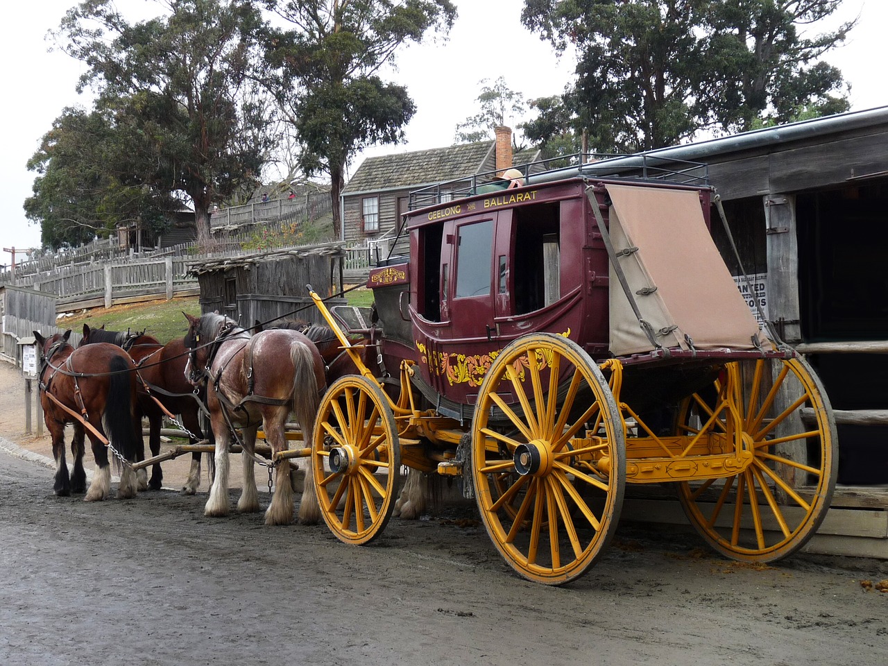 Transportavimo Sistema,  Vežimas,  Krepšelis,  Pradžioje Australijos, Nemokamos Nuotraukos,  Nemokama Licenzija