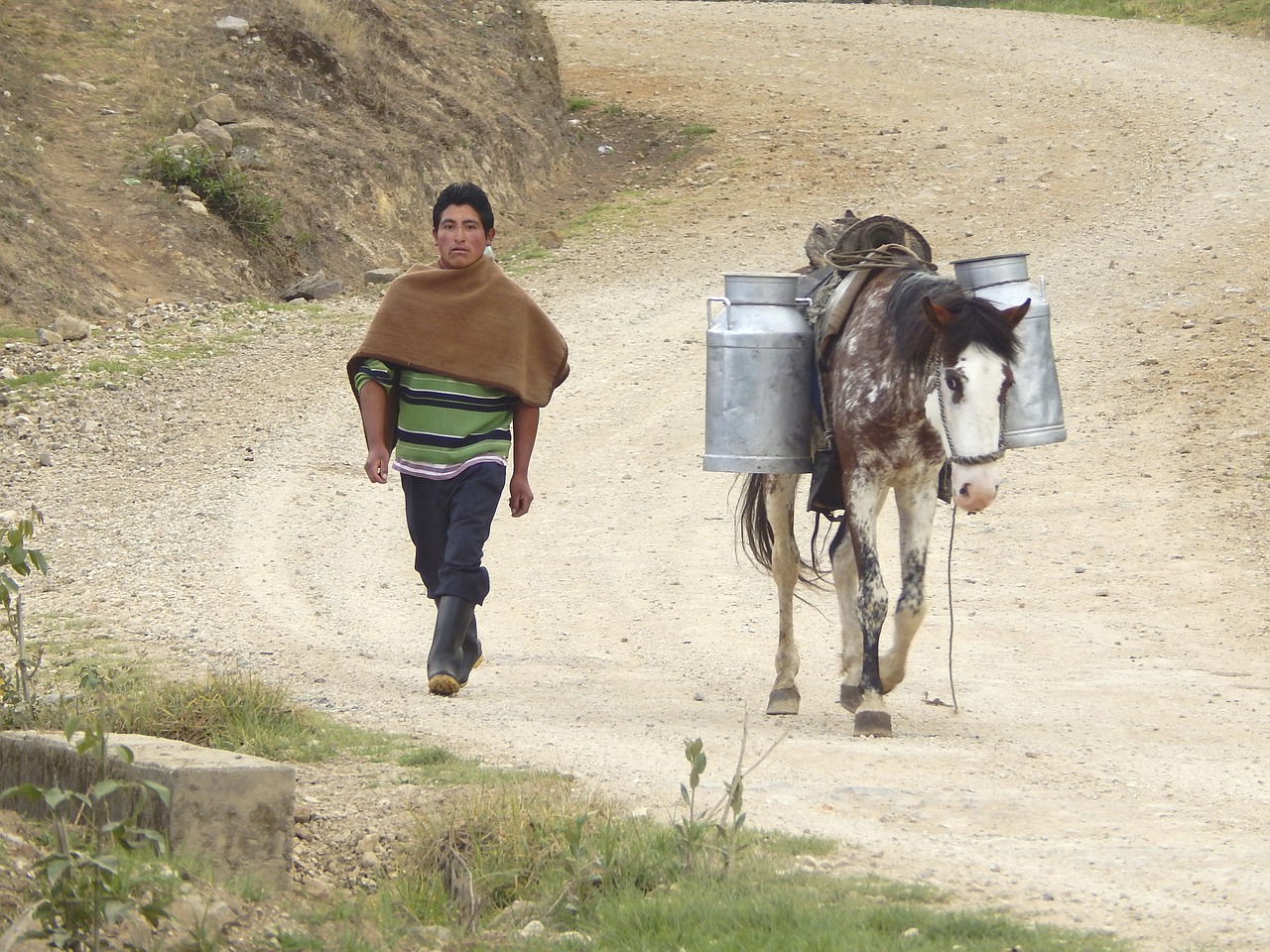 Transporte, Leche, Cajamarca, Perú, Kraštovaizdis, Gabenimas, Gamta, Kalnas, Nemokamos Nuotraukos,  Nemokama Licenzija