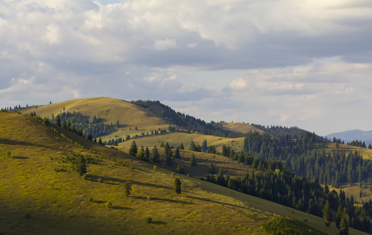 Transilvanija, Kraštovaizdis, Dangus, Žalias, Gamta, Nemokamos Nuotraukos,  Nemokama Licenzija