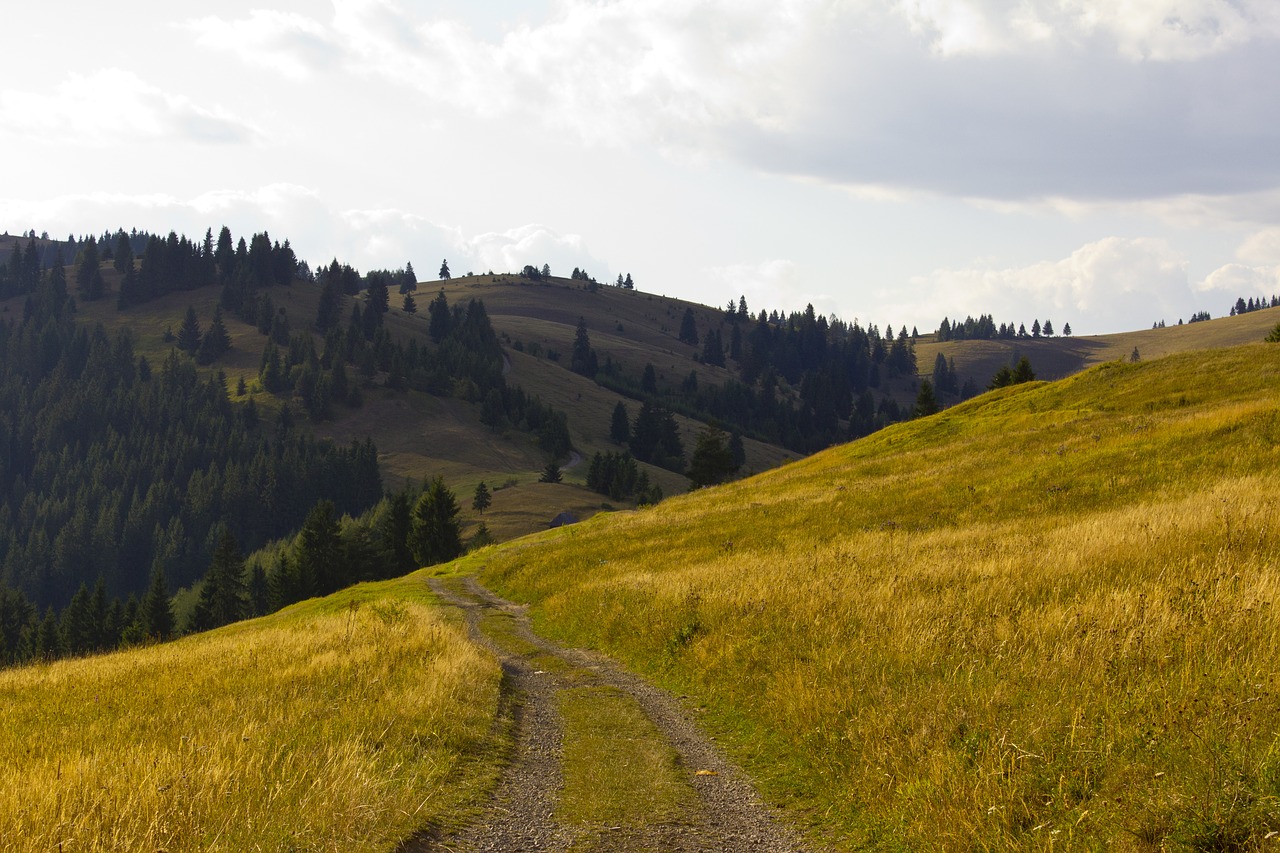 Transilvanija, Kraštovaizdis, Dangus, Žolė, Žalias, Kelias, Kaimas, Nemokamos Nuotraukos,  Nemokama Licenzija