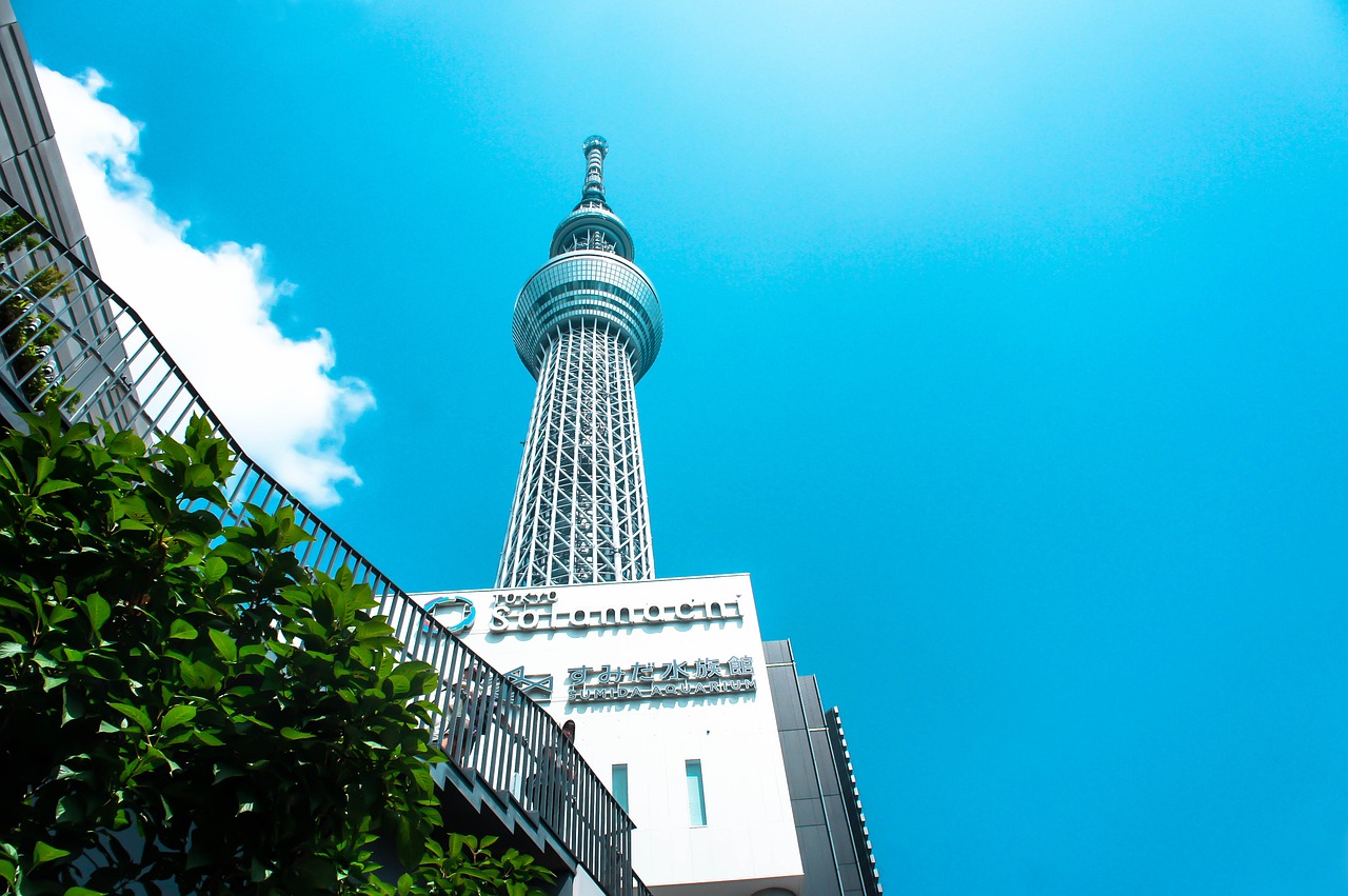 Kelionė, Tokyo Dangus Medis, Japonija, Nemokamos Nuotraukos,  Nemokama Licenzija