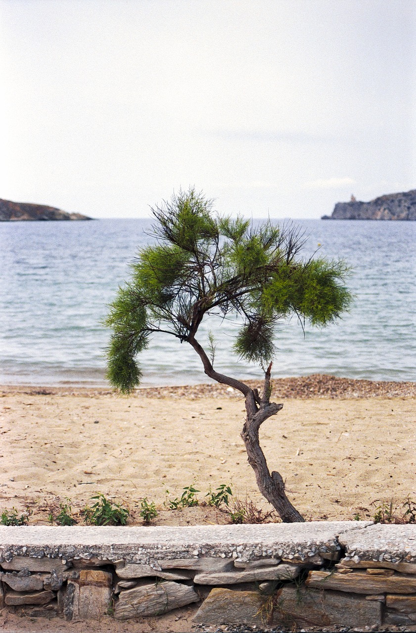 Kelionė,  Graikija,  Ios,  Cyclades,  Viduržemio Jūros,  Sala,  Turizmas,  Graikų,  Kraštovaizdis,  Egėjo