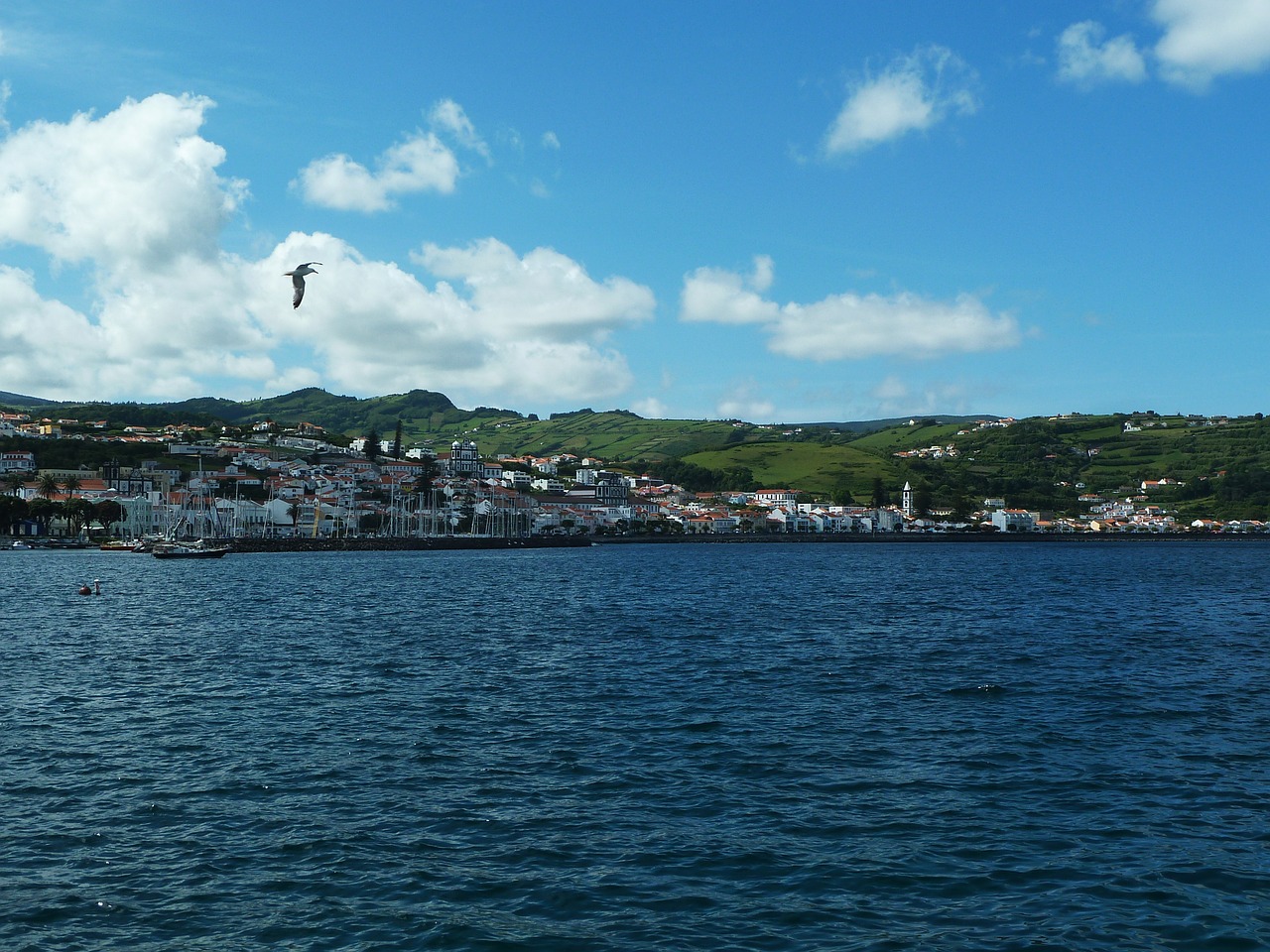 Kelionė, Pico, Azores, Jūra, Panoraminis, Sala, Kranto, Nemokamos Nuotraukos,  Nemokama Licenzija