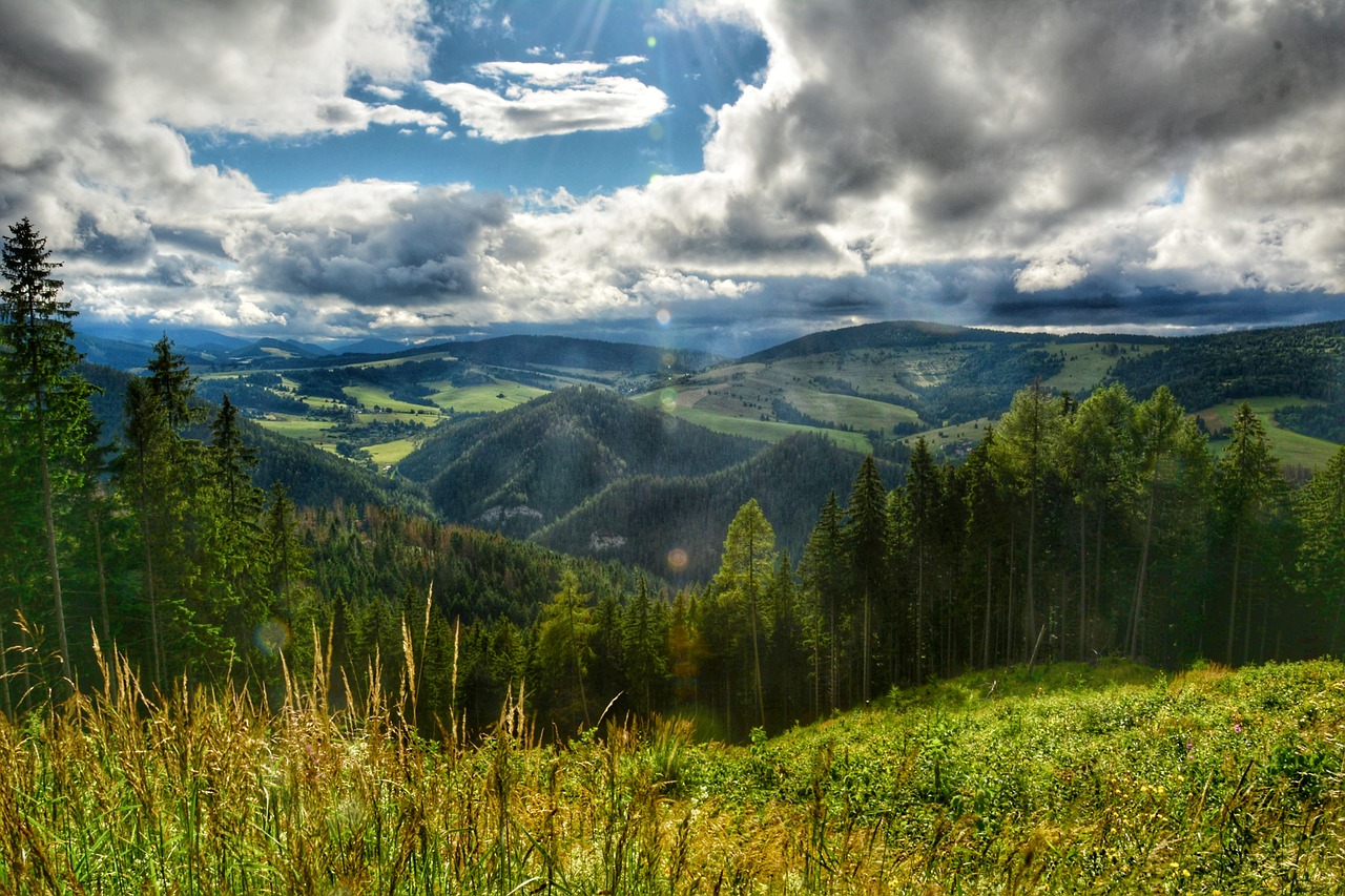 Keliauti, Gamta, Vasara, Liptov, Slovakija, Nemokamos Nuotraukos,  Nemokama Licenzija