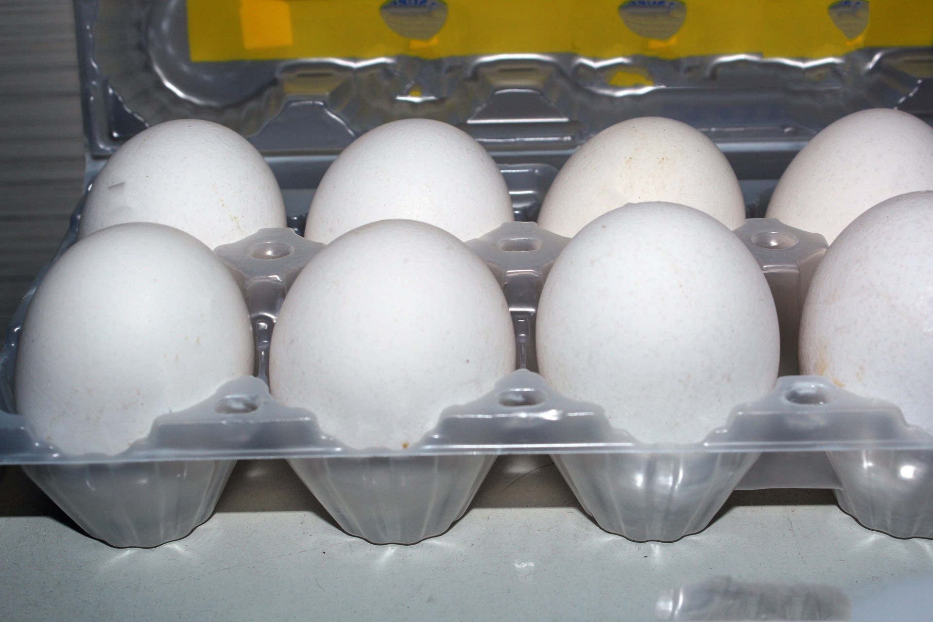 Купить яйца в геншине. Лоток для яиц. Куриные яйца в лотке. Кассета яиц. Упаковка для яиц.