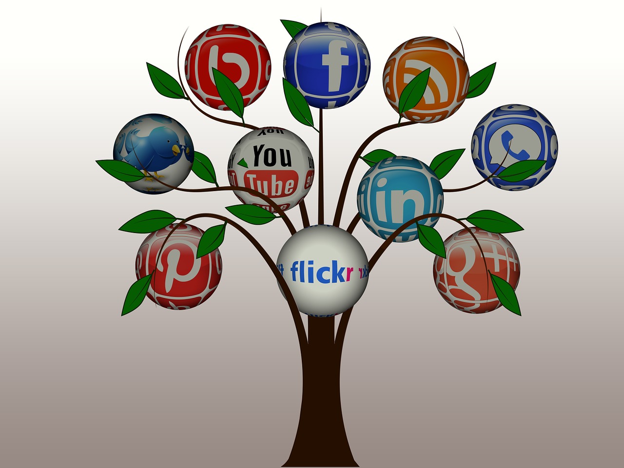Medis, Struktūra, Tinklai, Internetas, Tinklas, Socialinis, Socialinis Tinklas, Logotipas, Facebook, Google Socialinis Tinklas