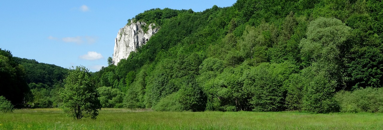 Medis, Rokas, Lenkija, Kraštovaizdis, Gamta, Pavasaris, Žalias, Tyla, Nemokamos Nuotraukos,  Nemokama Licenzija