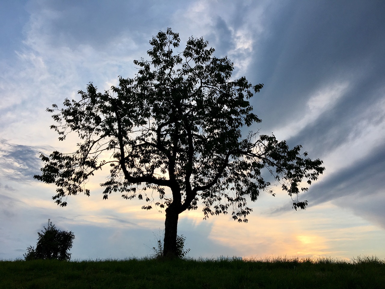 Medis, Abendstimmung, Dangus, Saulėlydis, Saulė, Romantika, Nuotaika, Kraštovaizdis, Siluetas, Dusk