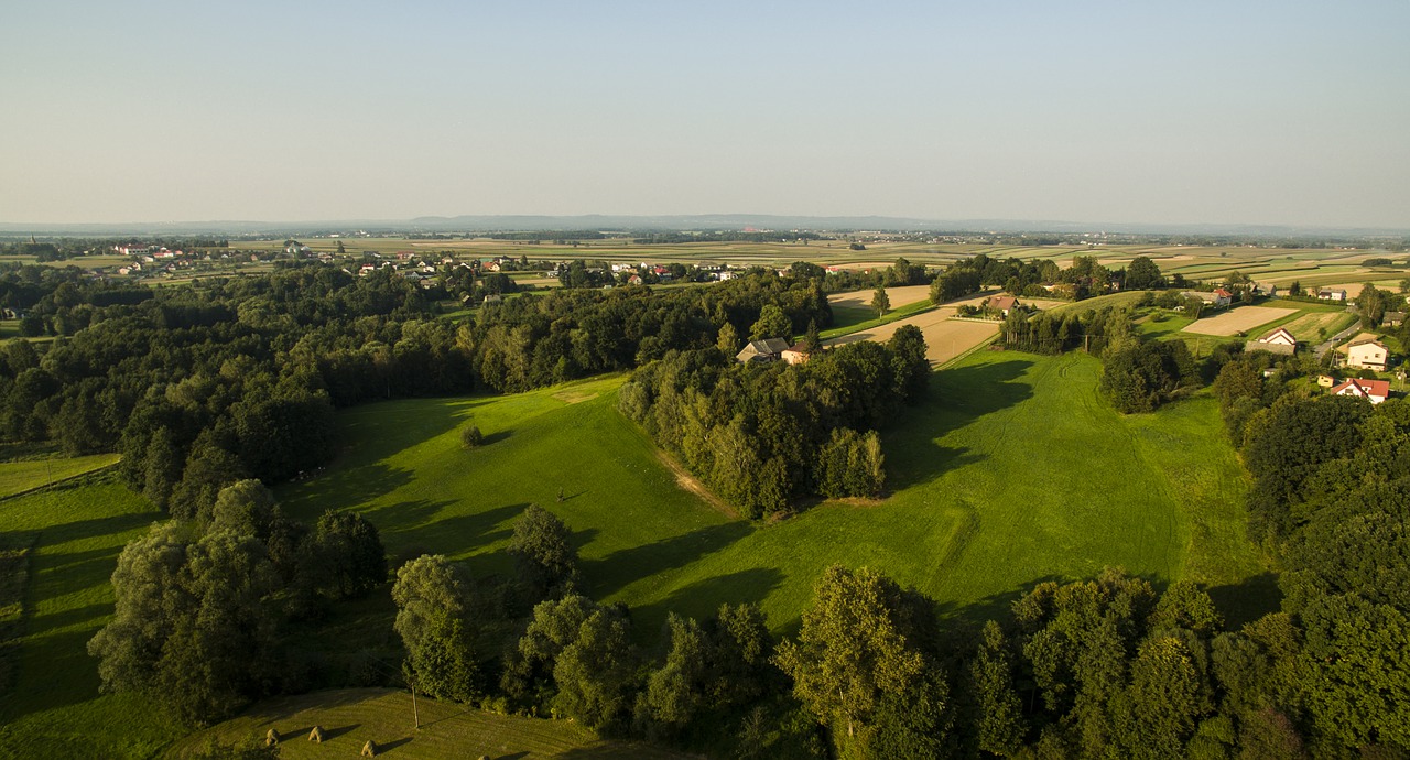 Medis, Kraštovaizdis, Gamta, Vaizdas, Lenkija, Vasara, Laukas, Kaimas, Dangus, Saulė