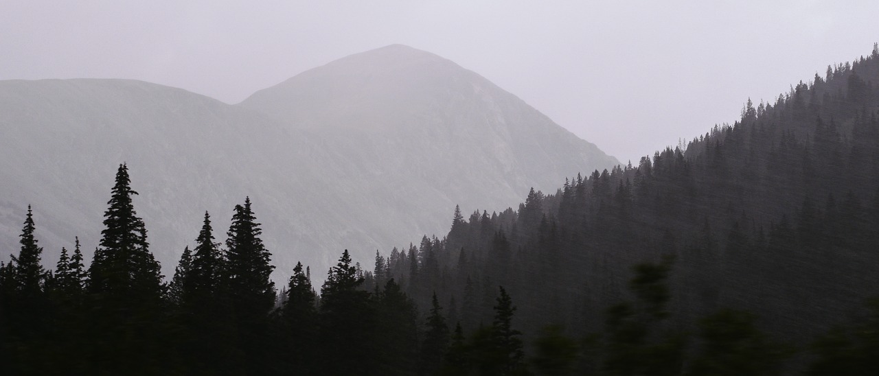 Medis, Augalas, Gamta, Kalnas, Highland, Kraštovaizdis, Nemokamos Nuotraukos,  Nemokama Licenzija