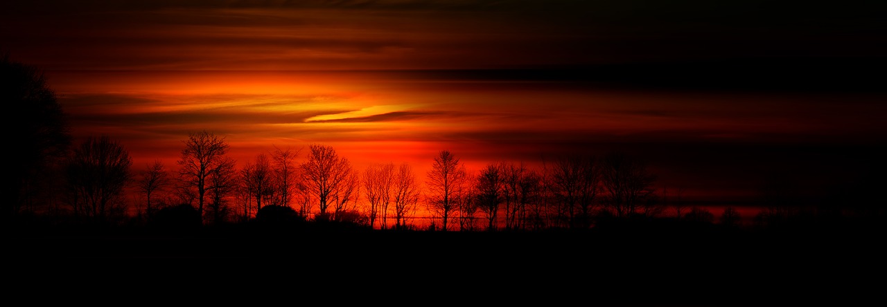 Medis, Serijos, Saulė, Oranžinė, Saulėlydis, Abendstimmung, Oro Temperamentas, Debesys, Atmosfera, Geltona