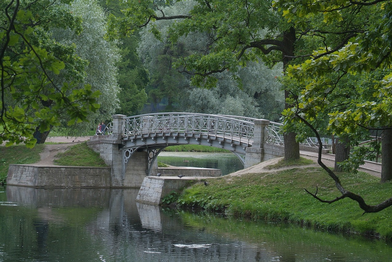 Medis, Tiltas, Vanduo, Upė, Gamta, Gatchina, Kraštovaizdis, Ežeras, St Petersburgo Priemiesčiai, Sidabrinė Gija