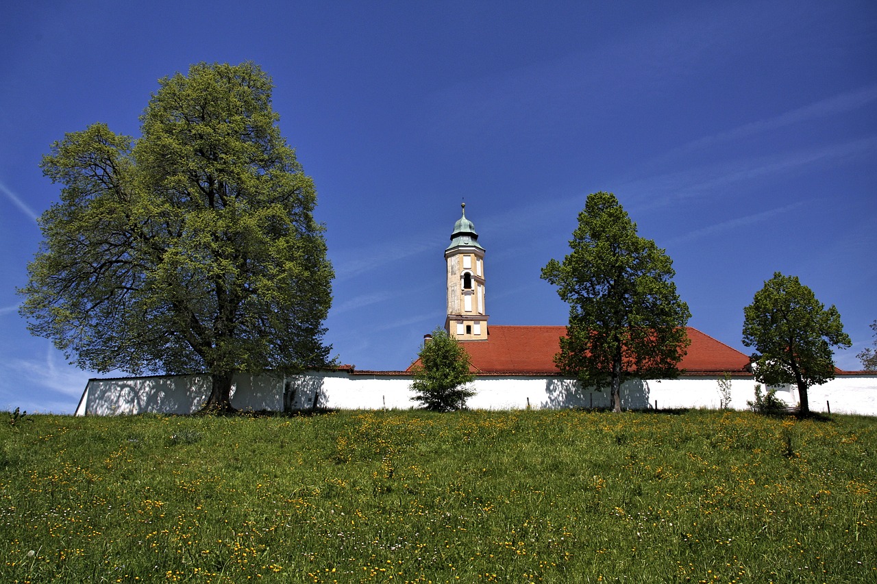 Medis,  Žolė,  Dangus,  Gamta,  Vasara,  Kraštovaizdis,  Architektūra,  Kelionė,  Pieva,  Pastatas