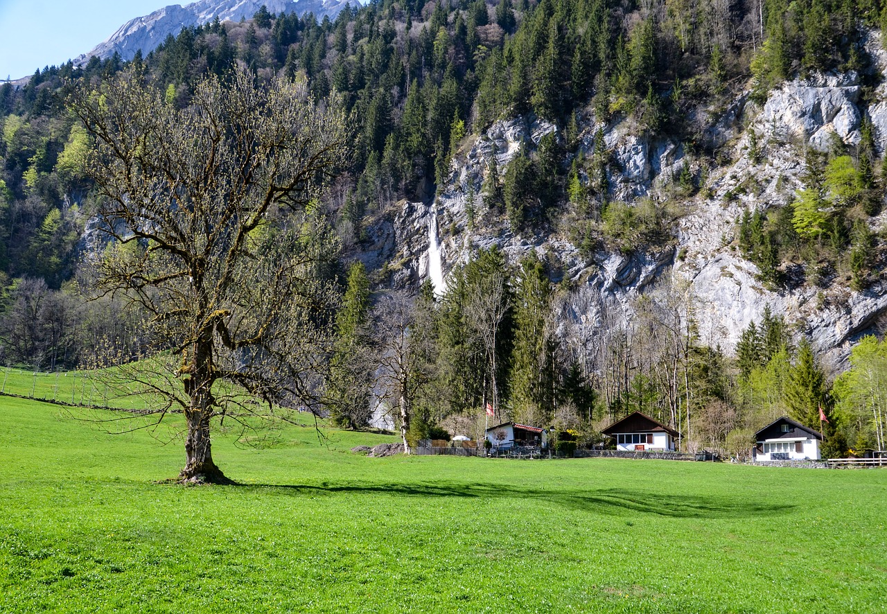 Medis,  Pobūdį,  Žolė,  Chalet,  Kalnų Trobelės,  Kraštovaizdis,  Šveicarija,  Turizmas,  Alpine,  Glarus