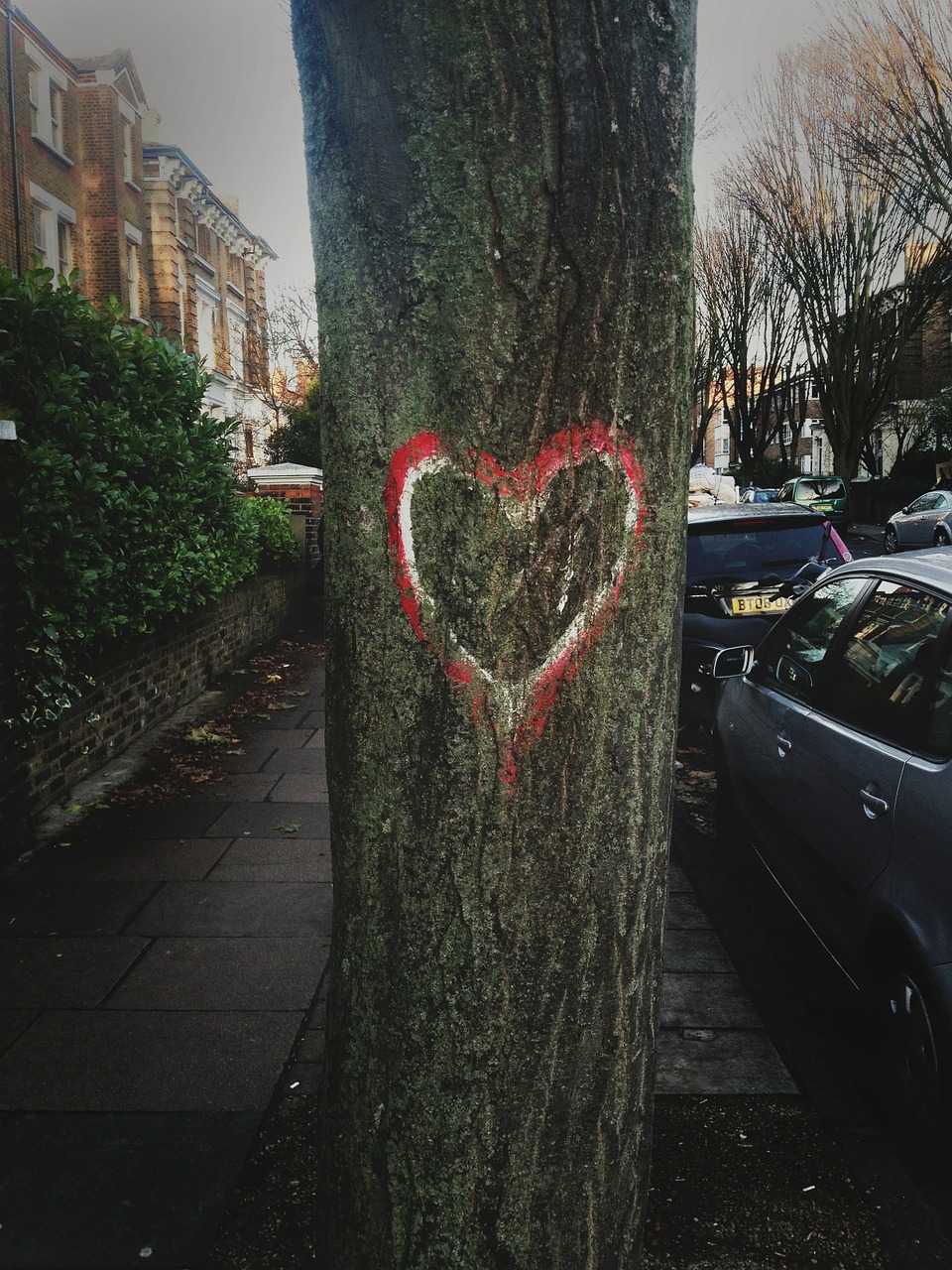 Medis, Meilė, Širdis, Gatvė, Londonas, Valentine, Romantiškas, Grafiti, Ženklas, Vintage