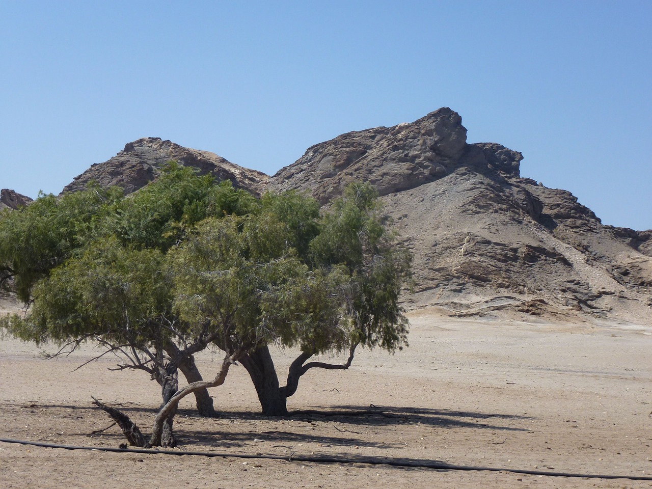 Medis, Kalnas, Kraštovaizdis, Namibija, Kelionė, Nemokamos Nuotraukos,  Nemokama Licenzija