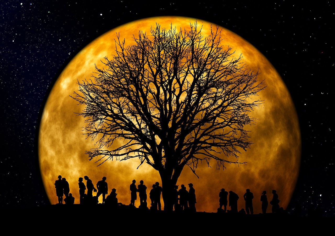 Medis, Kahl, Mėnulis, Žmogus, Grupė, Siluetas, Fonas, Naktis, Vakaras, Atmosfera