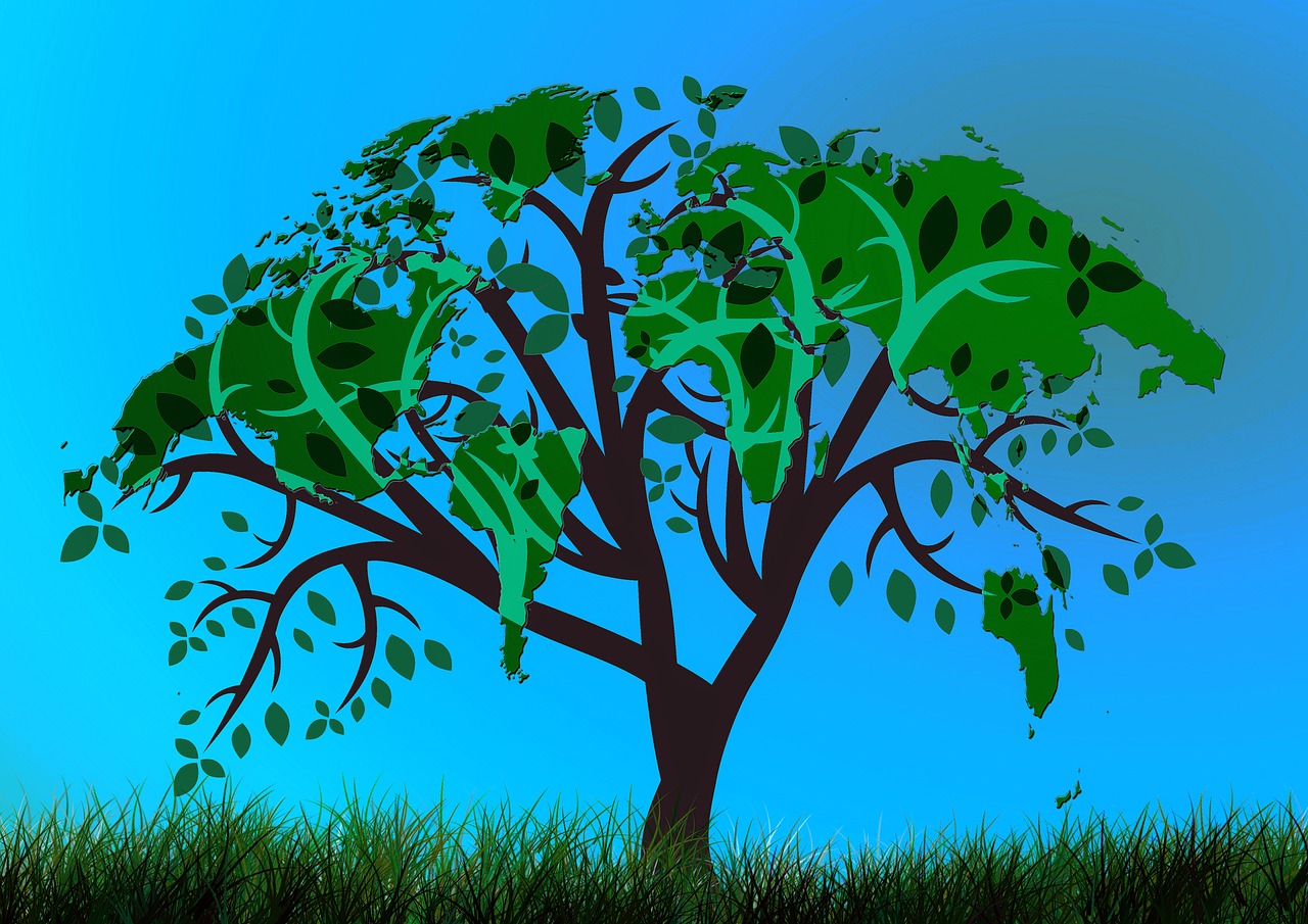 Medis, Žemė, Pasaulis, Žemynai, Aplinka, Eco, Ekologija, Visuotinis, Atsakomybė, Gamta