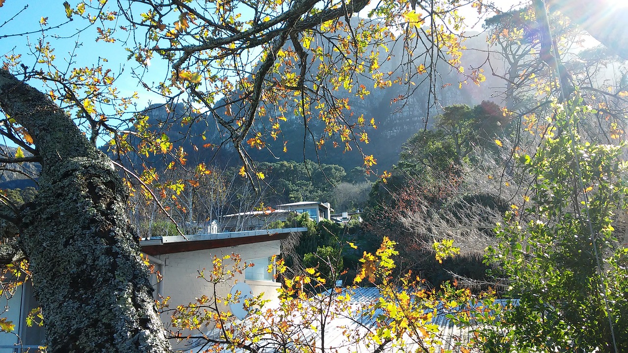 Namelis Medyje, Miškas, Cape Town, Nemokamos Nuotraukos,  Nemokama Licenzija