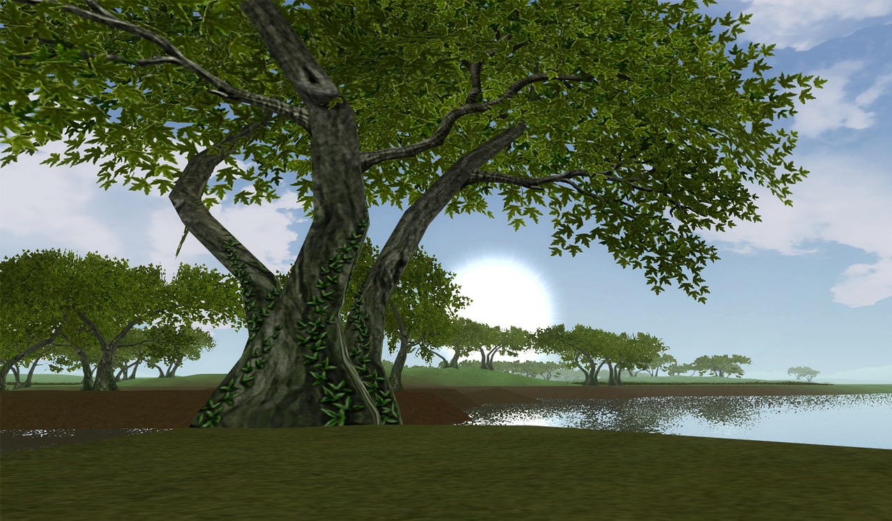 Medžiai, Medis, Dangus, Saulė, Žalias, Mėlynas, Gamta, 3D, 3 Matmenys, Nemokamos Nuotraukos