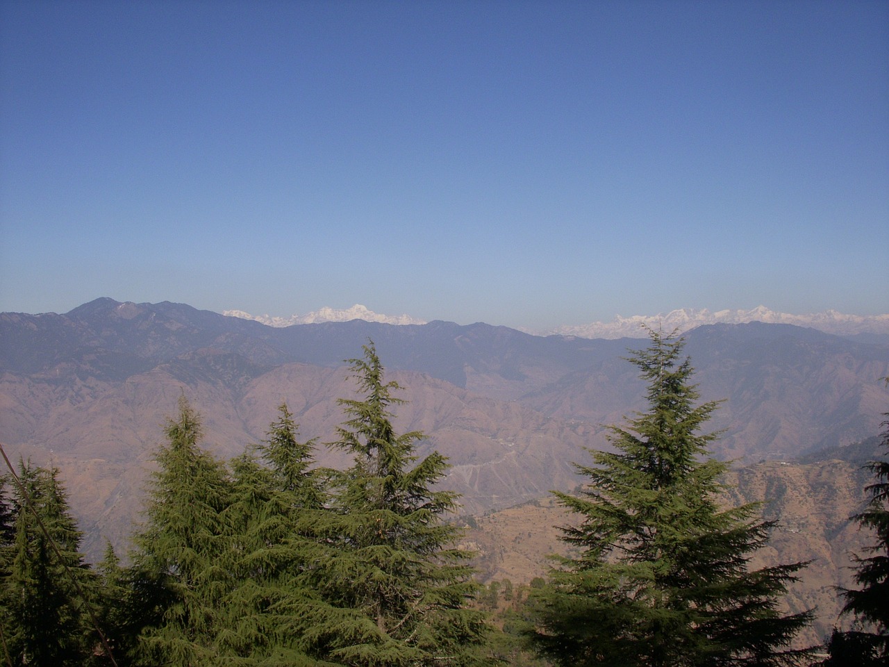 Medžiai, Gamta, Medis, Miškas, Sniegas, Himalaja, Kalnai, Himalajus, Oro Vaizdas, Kalnų
