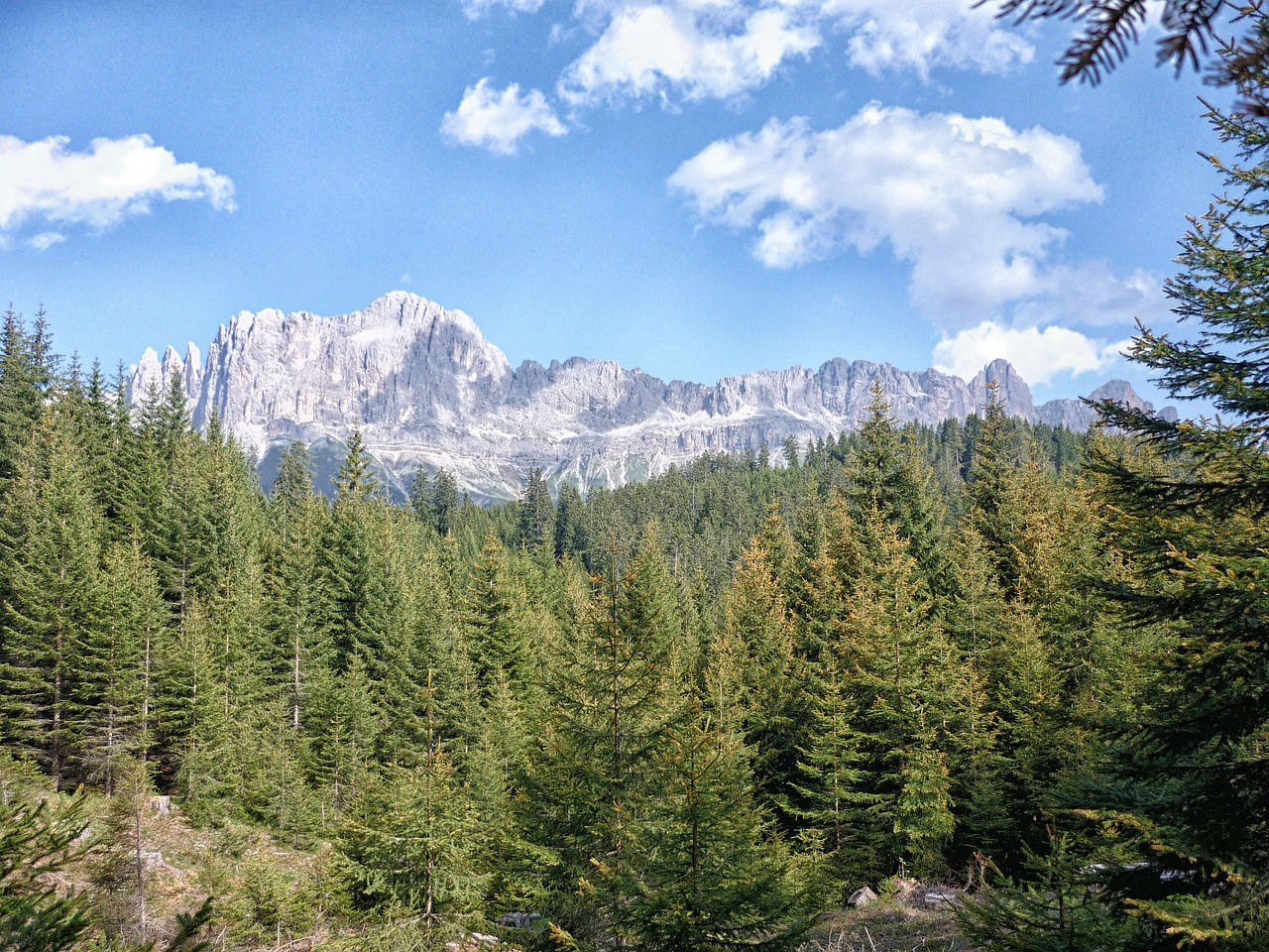 Dolomitai, Medžiai, Kalnas, Miškas, Kraštovaizdis, Visžalis, Nemokamos Nuotraukos,  Nemokama Licenzija