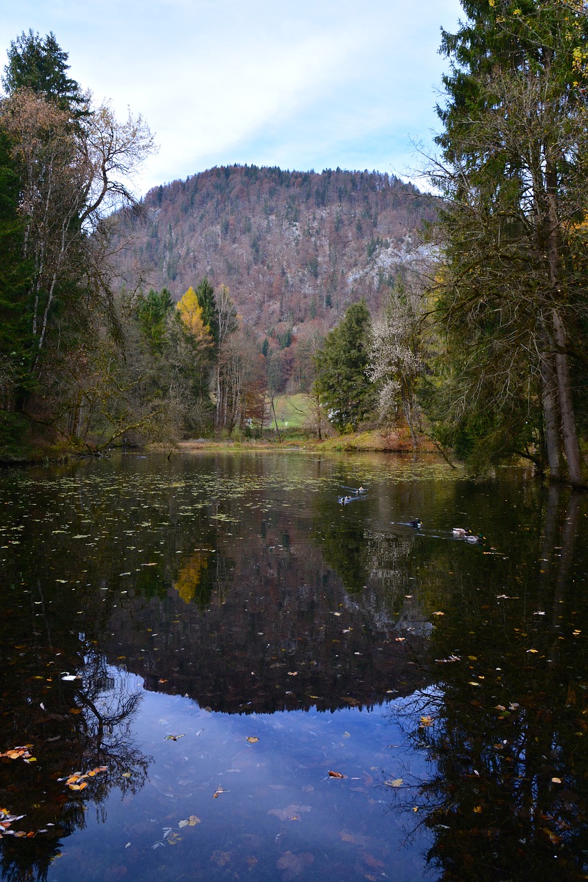 Medžiai, Ežeras, Kalnas, Veidrodis, Kraštovaizdis, Vanduo, Ruduo, Austria, Tyrol, Nuotaika