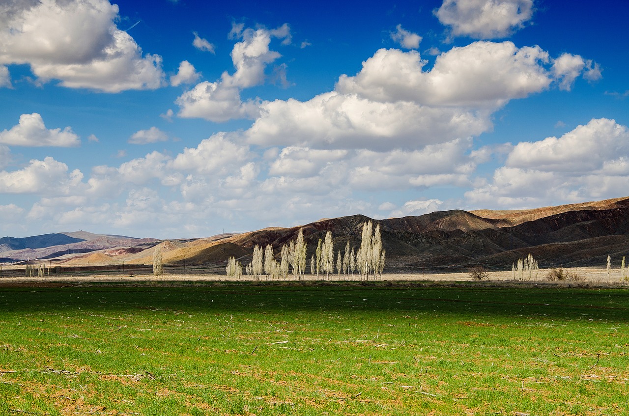 Medžiai, Dangus, Kalnai, Kelionė, Debesys, Turkija, Cappadocia, Gamta, Nemokamos Nuotraukos,  Nemokama Licenzija