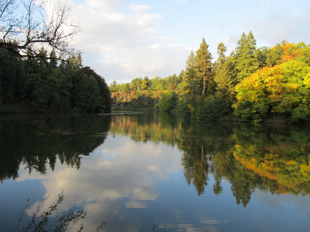 Medžiai, Vanduo, Gamta, Pruhonice Parkas, Nemokamos Nuotraukos,  Nemokama Licenzija