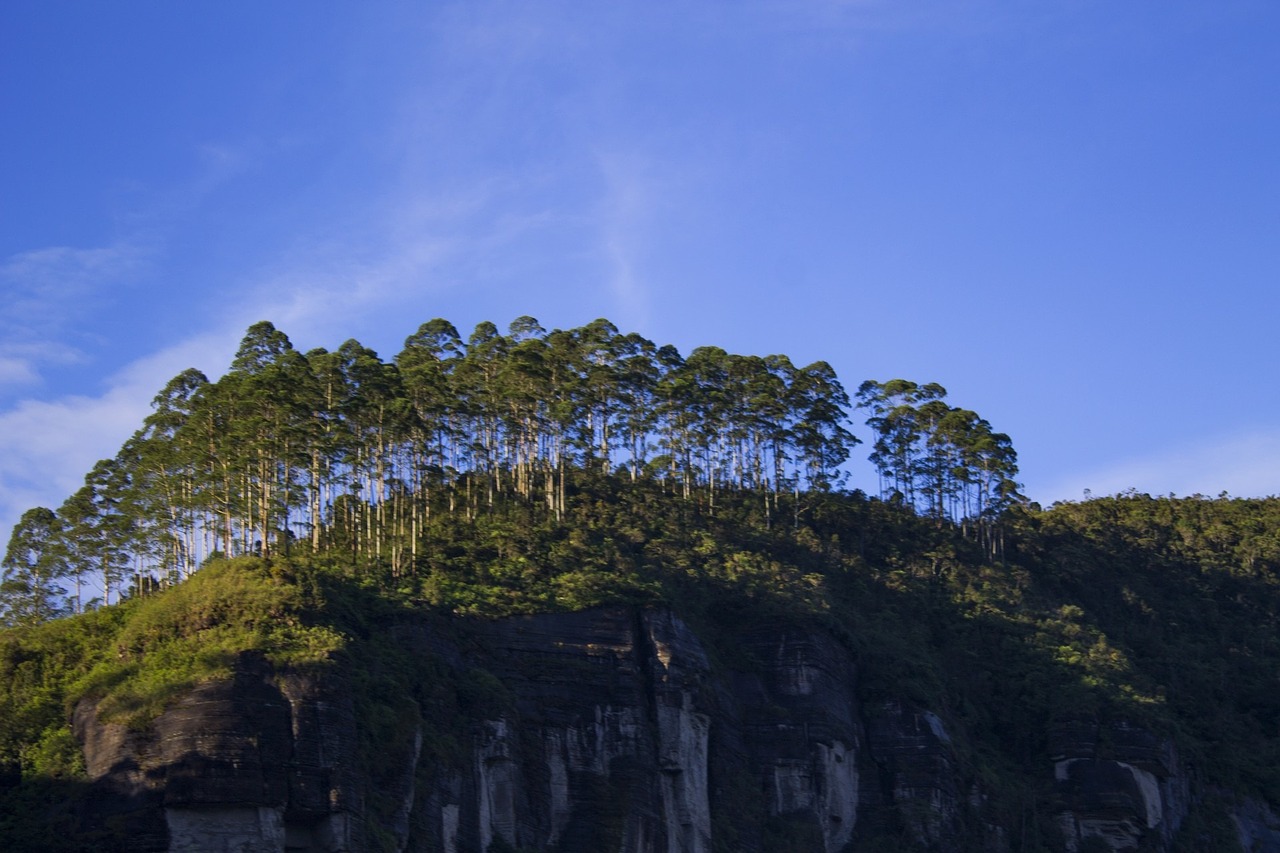 Medžiai, Nuwaraeliya, Dangus, Debesys, Lauke, Ramus, Oras, Meteorologija, Cloudscape, Kraštovaizdis