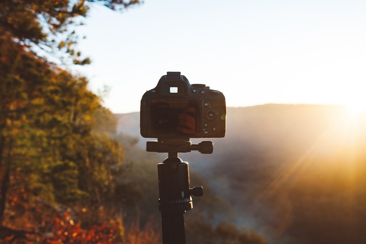 Medžiai, Augalai, Gamta, Lauke, Saulėtekis, Saulės Šviesa, Saulės Šviesa, Rytas, Fotoaparatas, Fotografija